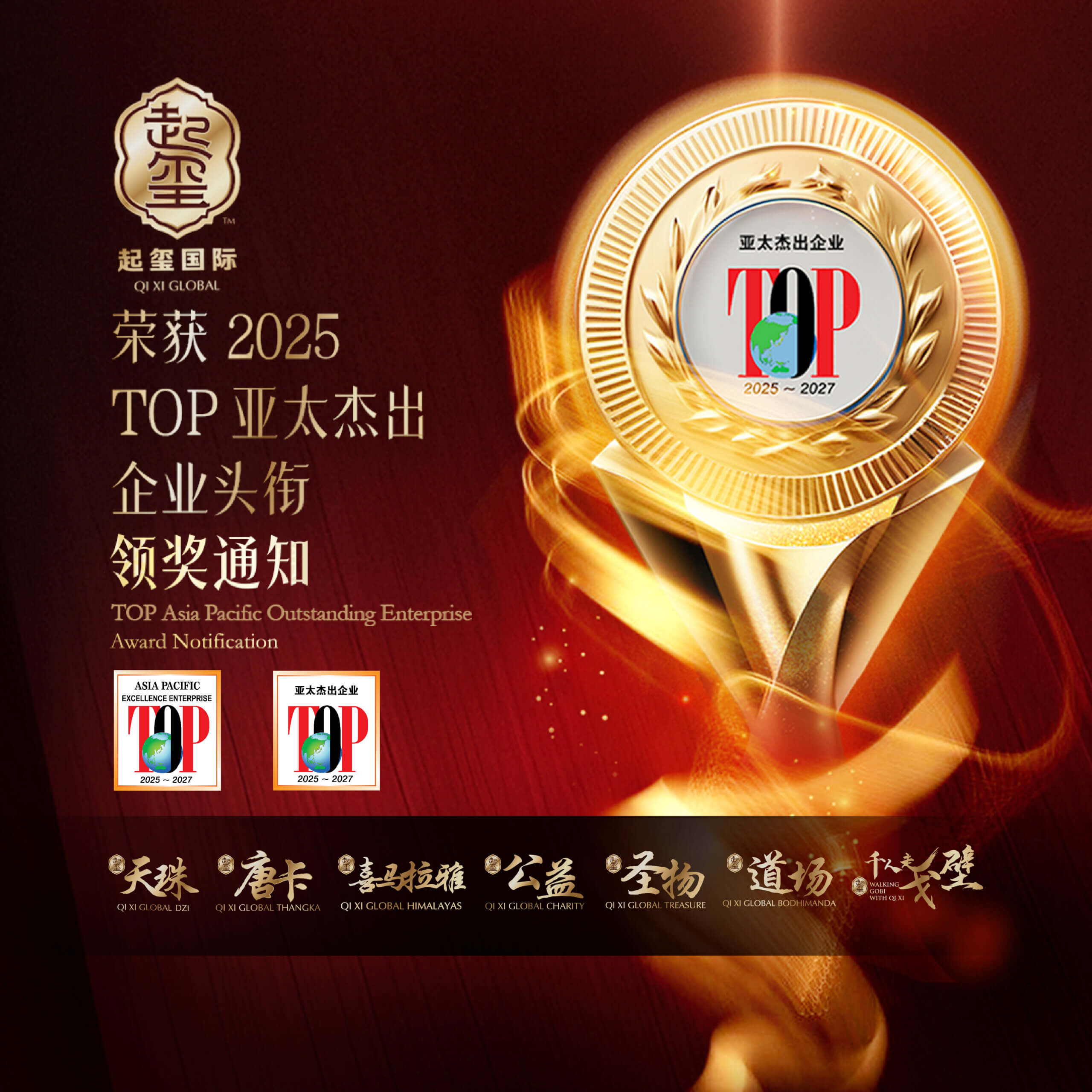 2025年 TOP 亚太杰出企业